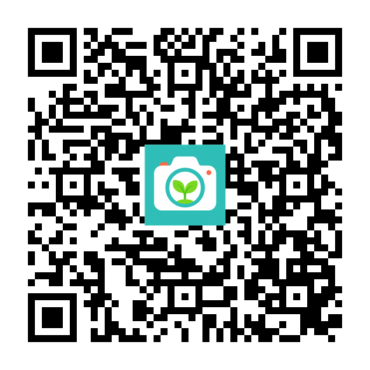 应用宝下载二维码