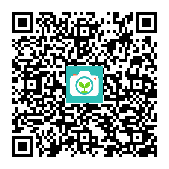vivo 应用商店下载二维码